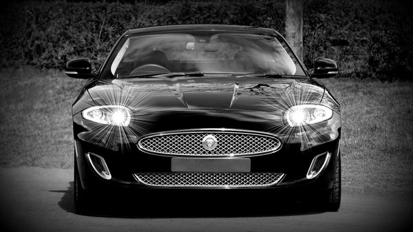 L'art du custom : Quand la moto devient une œuvre d'art